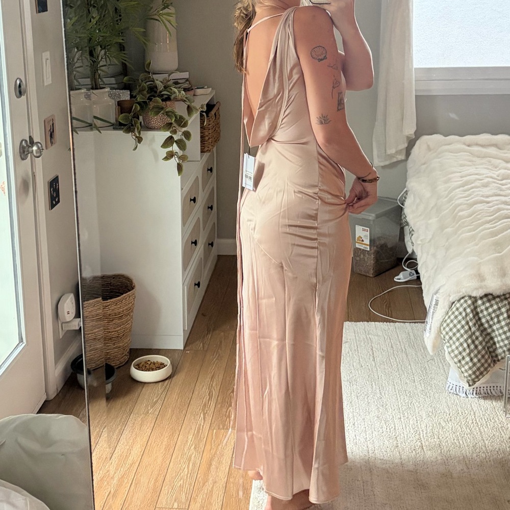 Princess Polly Blush Pink / Champagne Maxi Dress